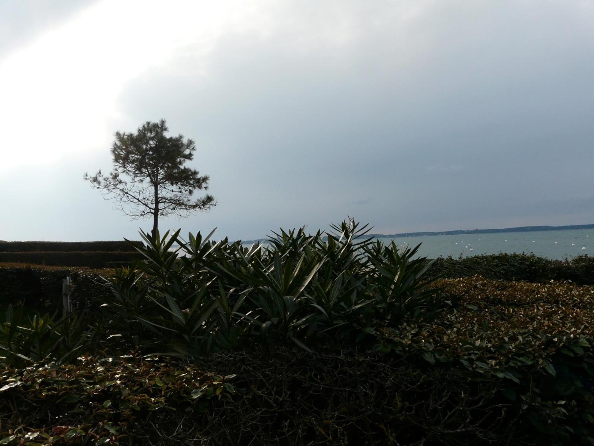Appartement Pereire Bord De Arcachon